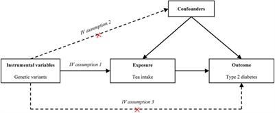 A Mendelian Randomization Study of the Effect of Tea Intake on Type 2 Diabetes